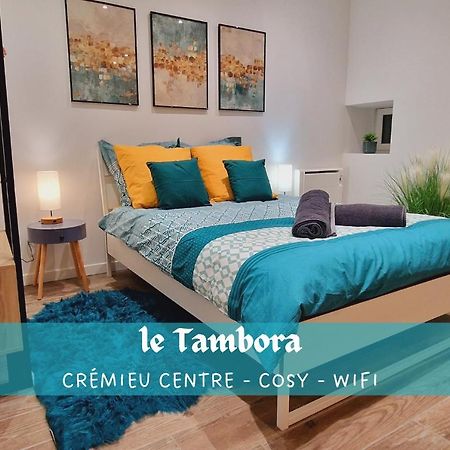 Nid Douillet Pres De La Halle - Le Tambora Crémieu Extérieur photo